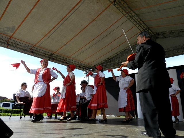 Megyei Közfoglalkoztatási Kiállítás 131